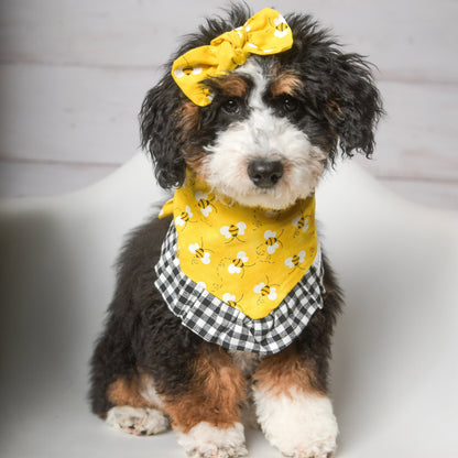 Small dog wearing yellow gingham ruffle dog bandana with bee print, sitting indoors