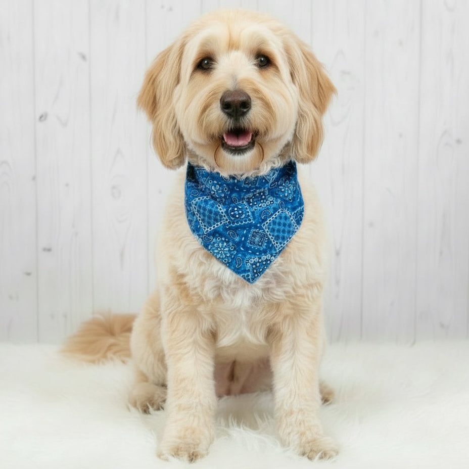 Classic Paisley Dog Bandana – Royal Blue