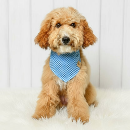 Blue Gingham Dog Bandana