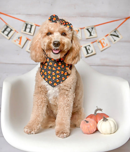 Halloween Candy Corn Dog Bandana