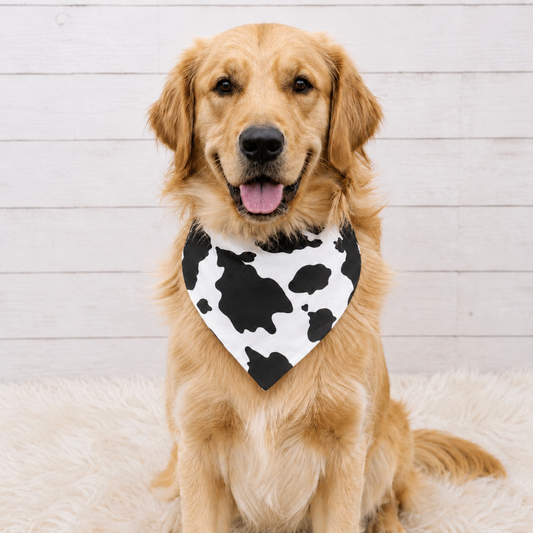 Cow Dog Bandana