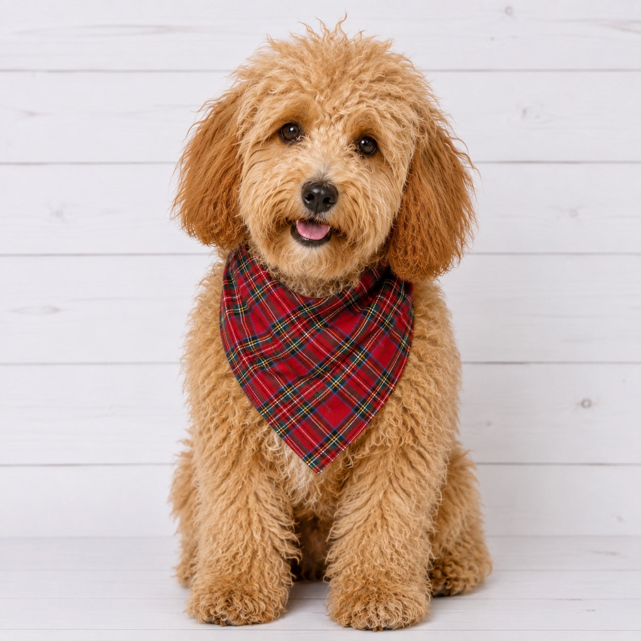 Red Plaid Dog Bandana