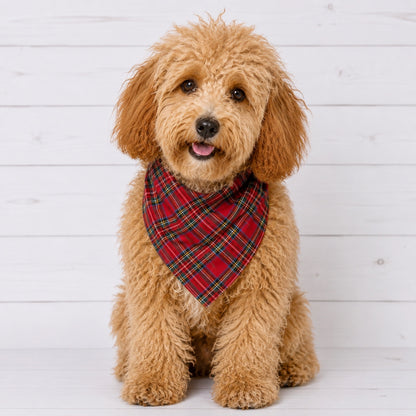 Red Plaid Dog Bandana