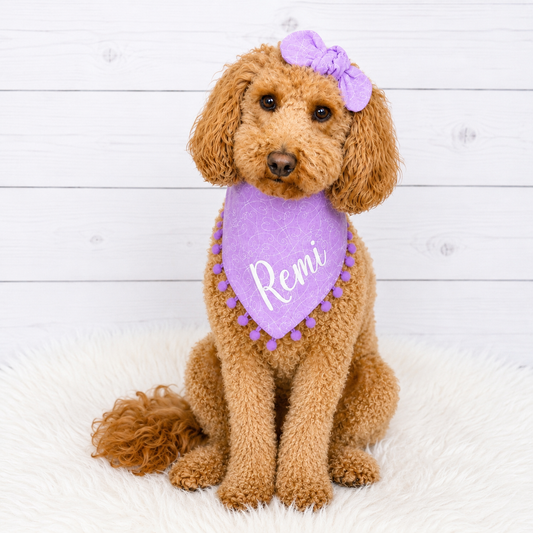 Lavender Pom Pom Dog Bandana