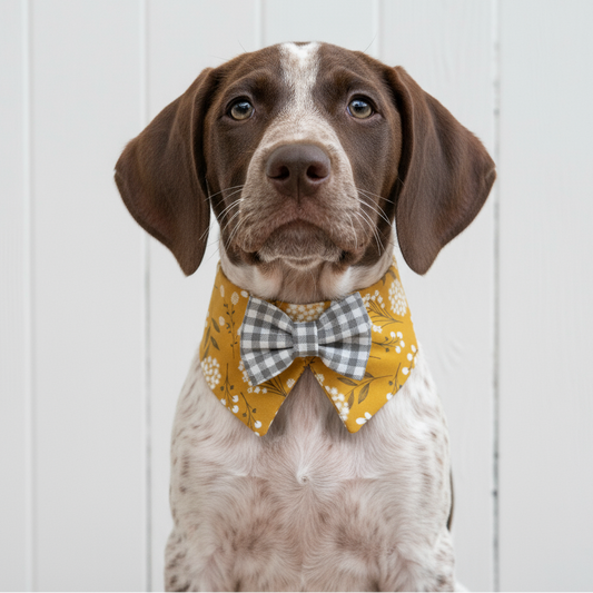 Mustard Tuxedo Bow Tie Collar for Boys