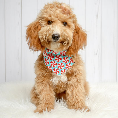 Peppermint Teal Dog Bandana