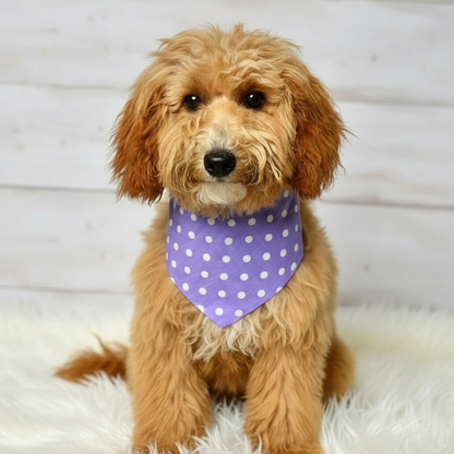 Lavender Dot Dog Bandana