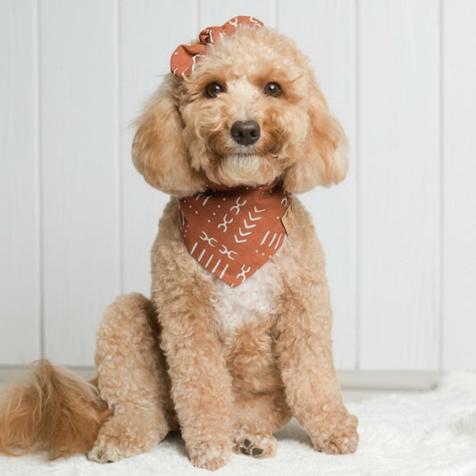 Rust Dog Bandana