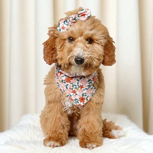 Cottage Floral Dog Bandana