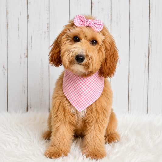 Pink Gingham Dog Bandana