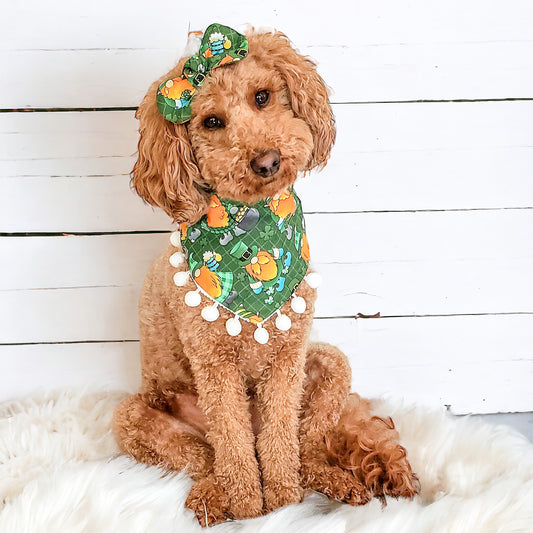 St. Patrick Gnomes with Pom Pom Dog Bandana