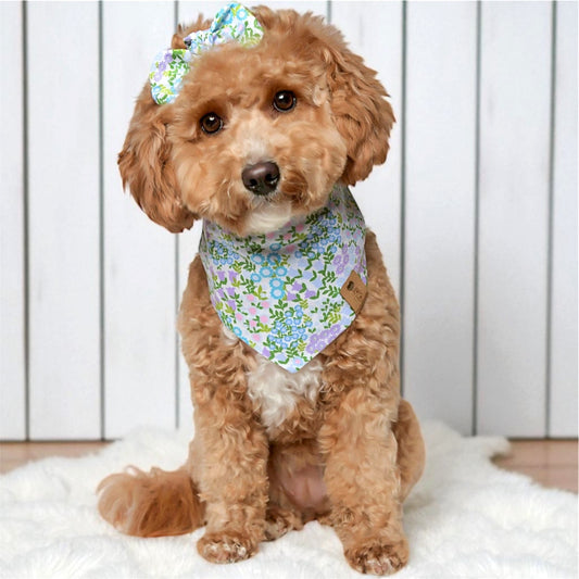 Isla Dog Bandana