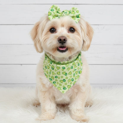 Frog Dog Bandana