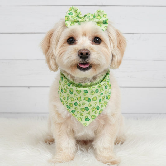 Frog Dog Bandana