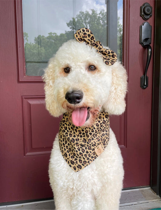 Cheetah Dog Bandana