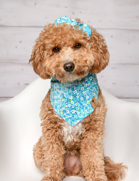 Turquoise Floral Dog Bandana,