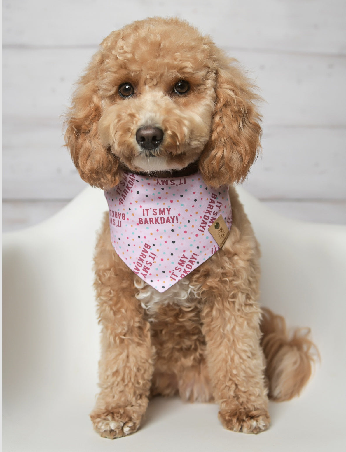 It's My Bark Day Pink Dog Bandana