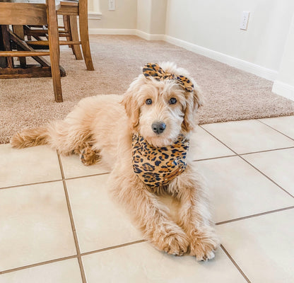 Leopard Dog Bandana