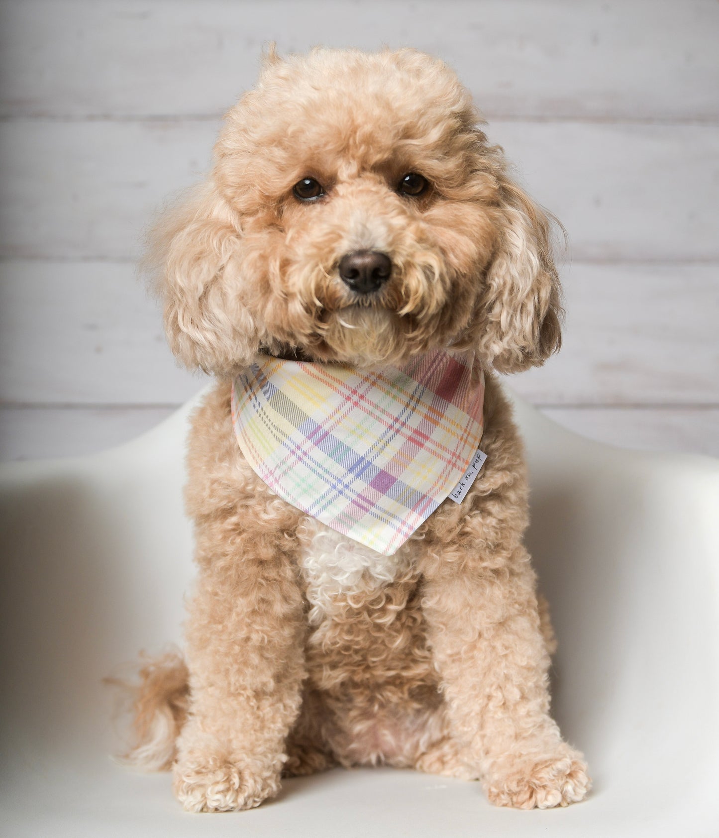 Easter Pastel Plaid  Dog Bandana