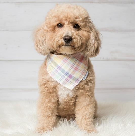 Easter Pastel Plaid  Dog Bandana