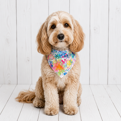 Color Splash Dog Bandana