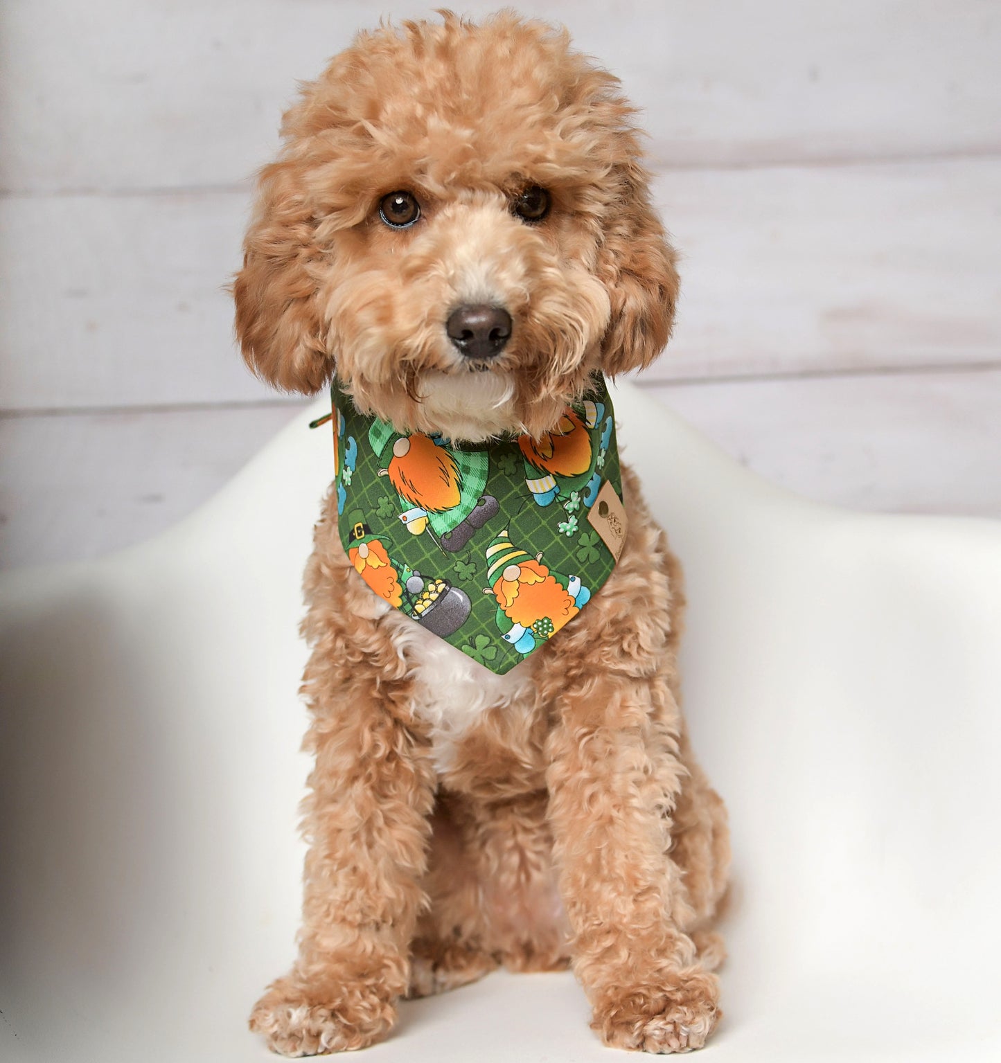 St. Patrick Gnomes Dog Bandana