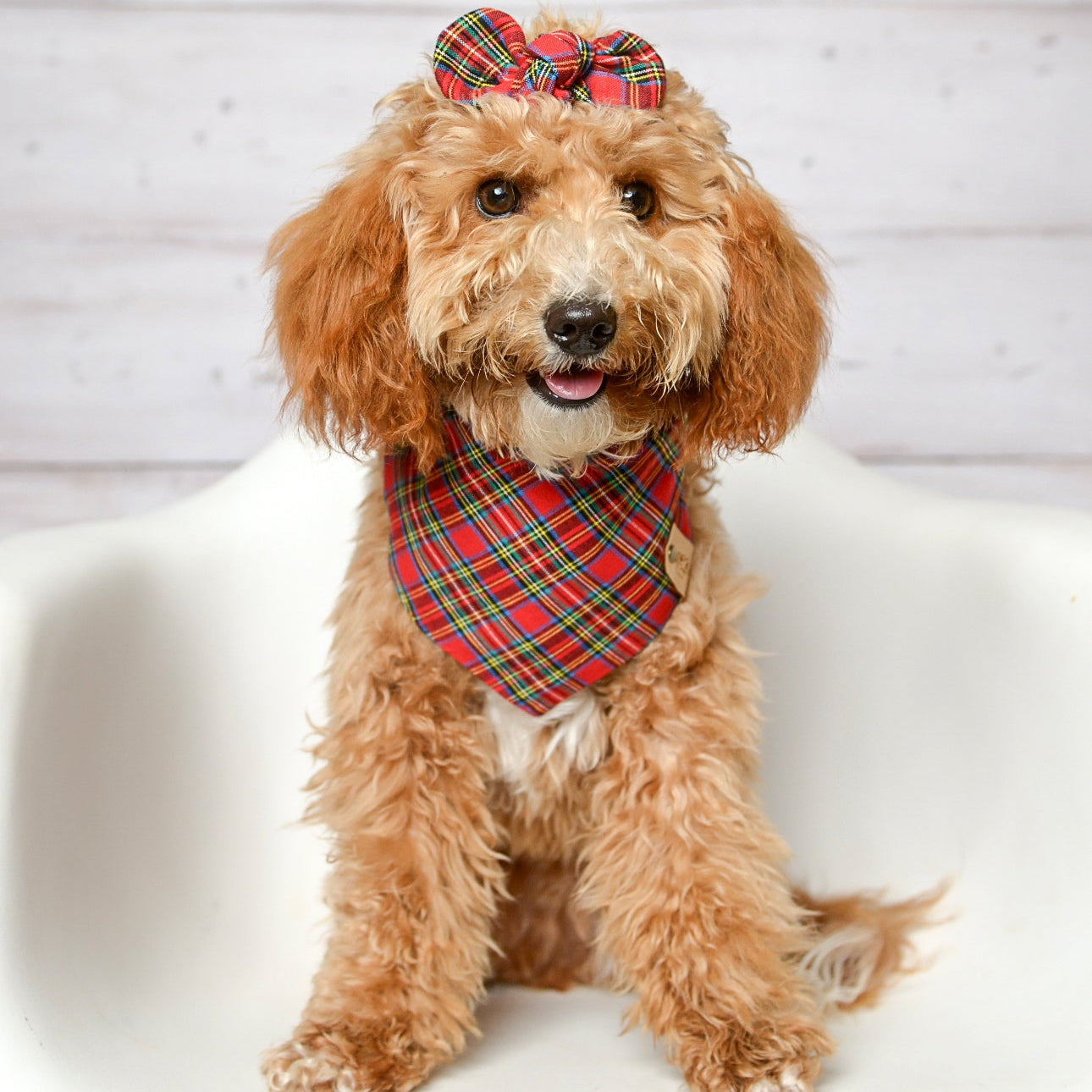 Red Plaid Dog Bandana