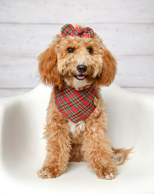 Red Plaid Dog Bandana