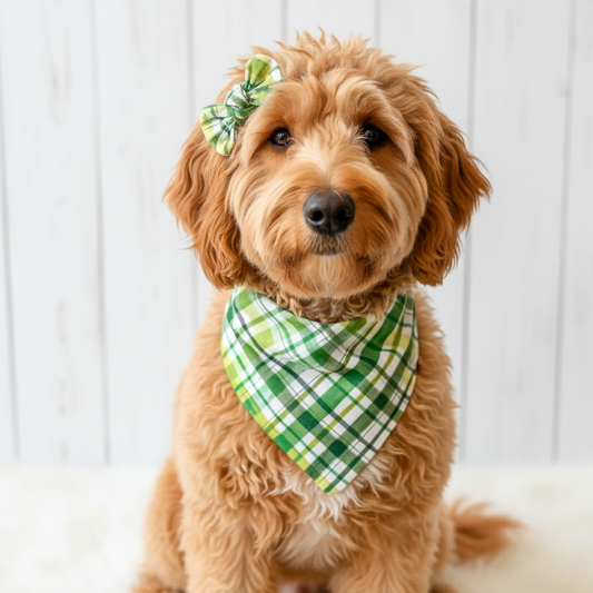 St. Patrick Plaid Dog Bandana