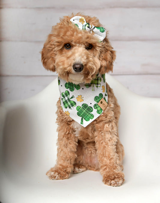 St. Patrick Clover Dog Bandana