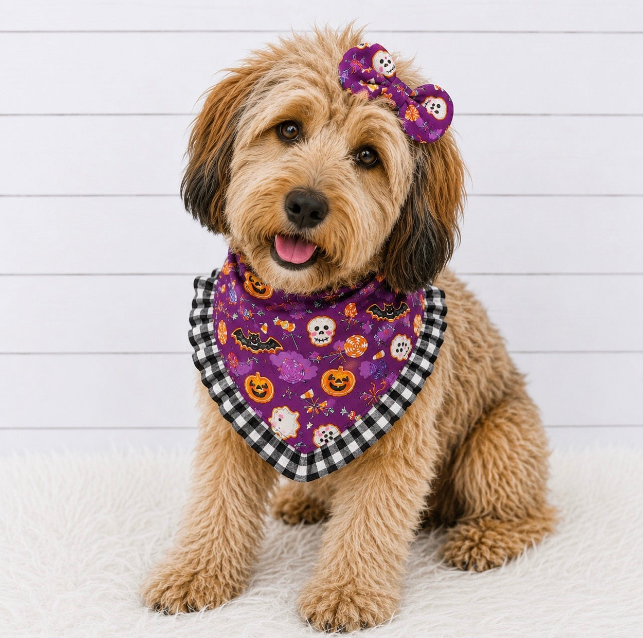 Halloween Purple Spooky Dog Bandana
