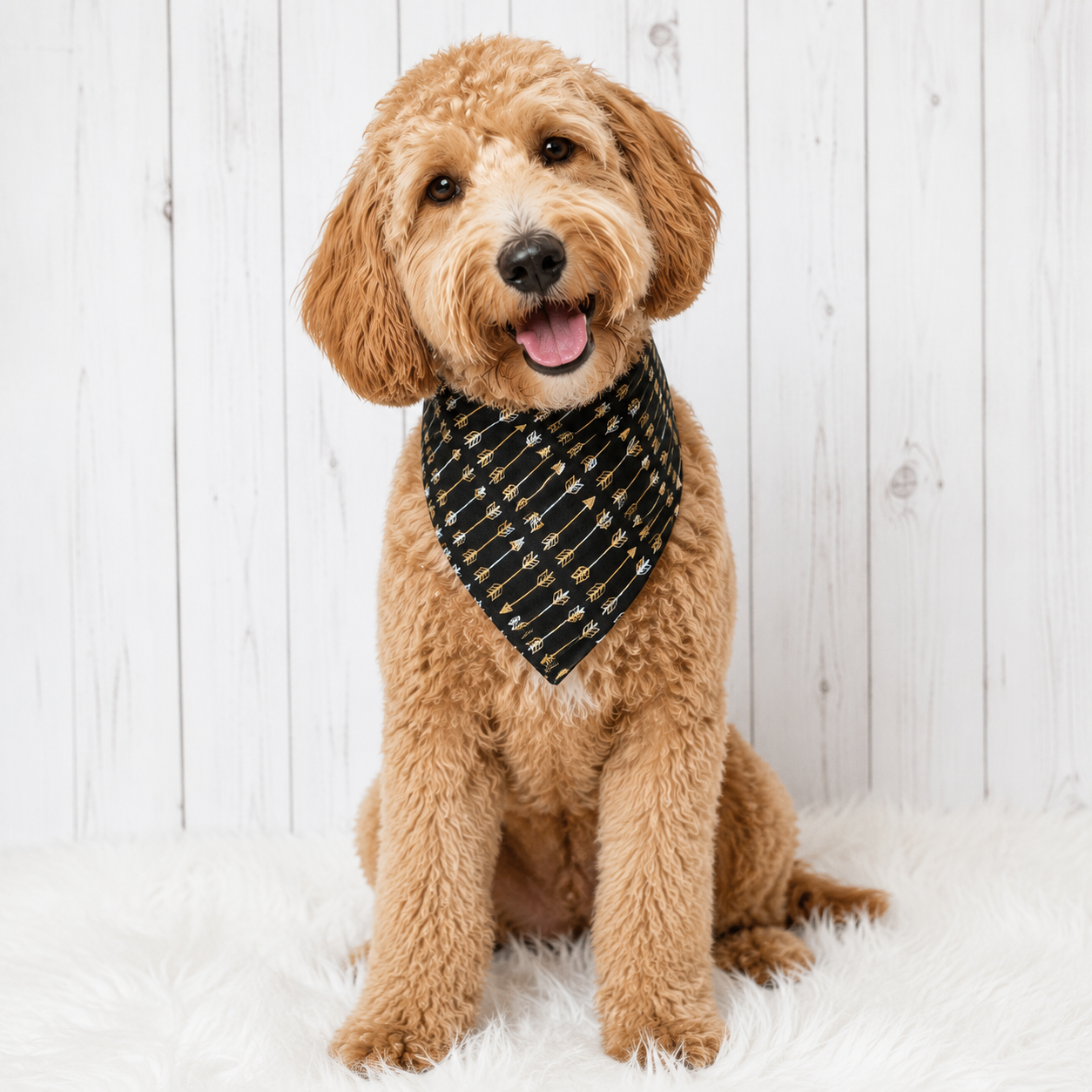 Black Arrows Dog Bandana