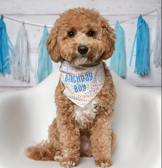 Birthday Dog Bandana - Boy