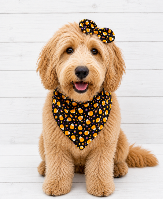 Halloween Candy Corn Dog Bandana