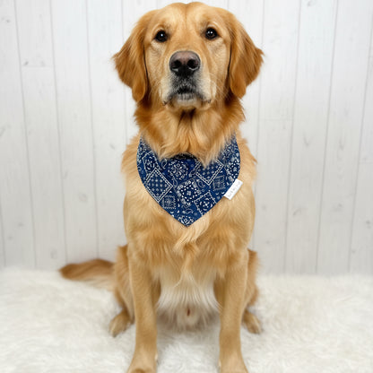 Classic Paisley Dog Bandana – Navy Blue