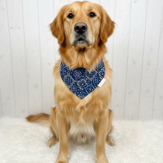 Classic Paisley Dog Bandana – Navy Blue