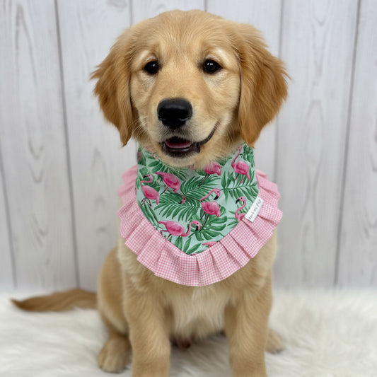 Flamingo Ruffle Dog Bandana