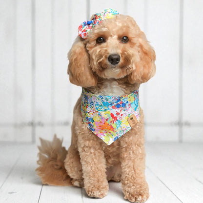 Color Splash Dog Bandana