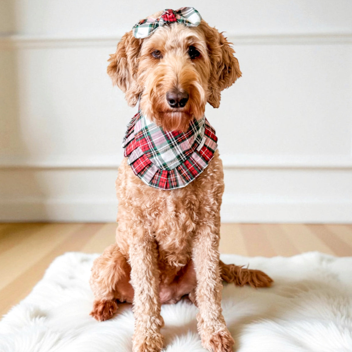 Red Lodge Plaid Ruffle Dog Bandana