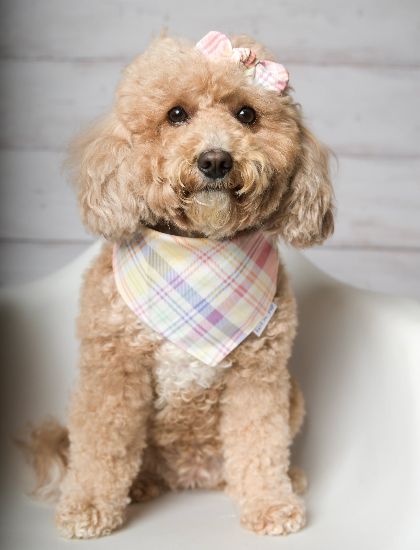 Easter Pastel Plaid  Dog Bandana
