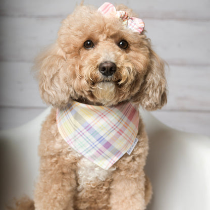 Easter Pastel Plaid  Dog Bandana