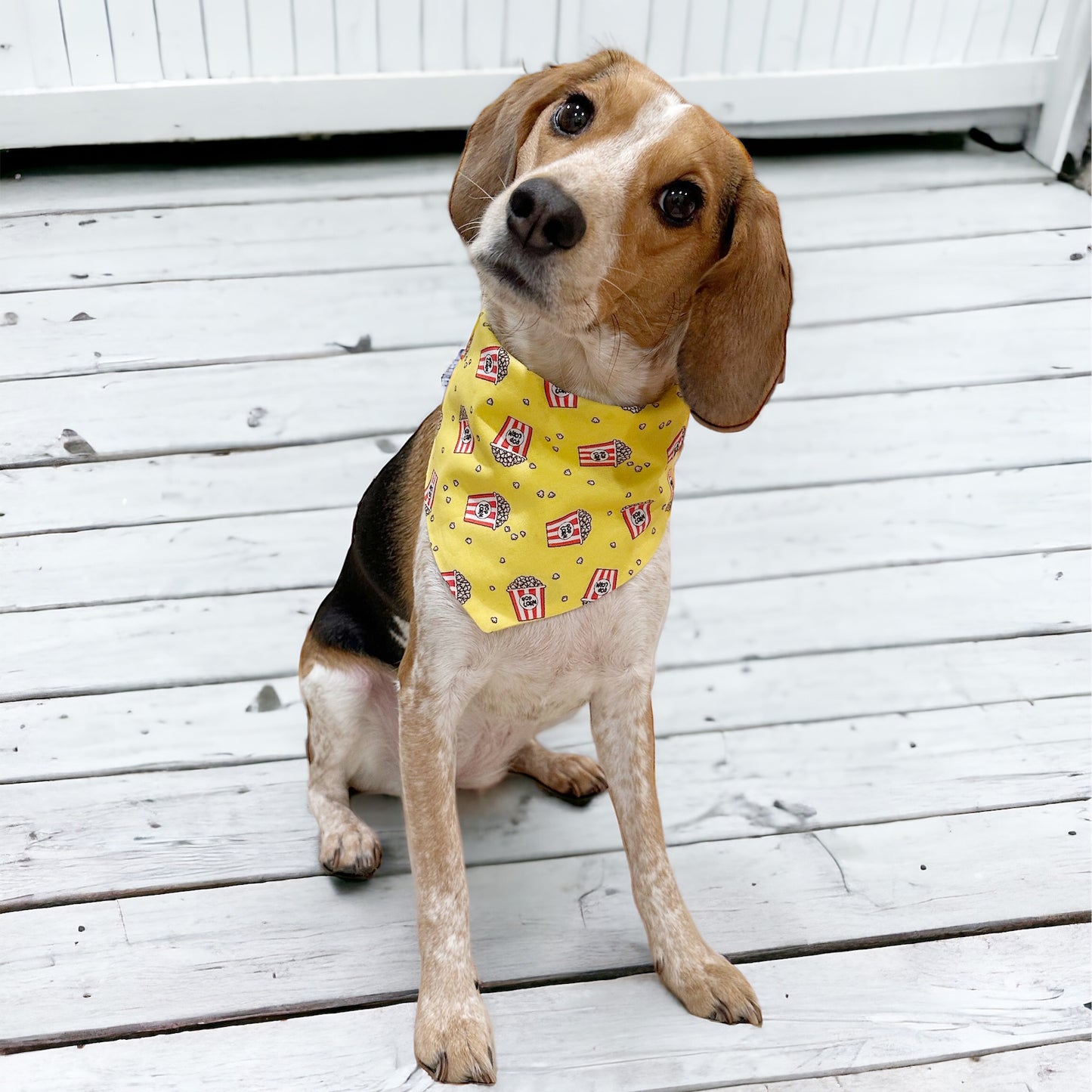 Pop Corn Dog Bandana