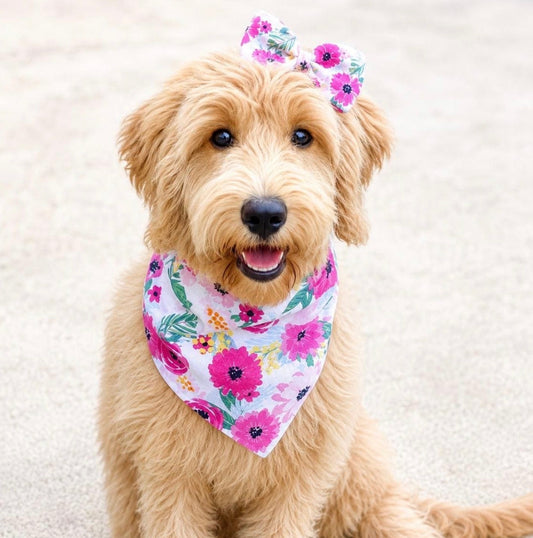 Floral Cotton Dog Bandana - Bali Bandana