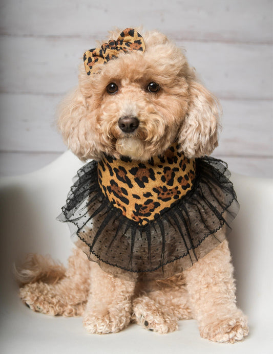 Dog wearing leopard print ruffle dog bandana – fashionable handmade pet accessory