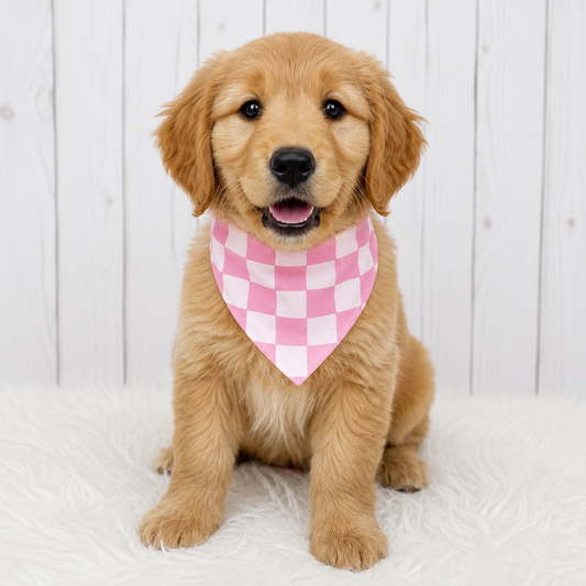 Pink Checkmate Dog Bandana