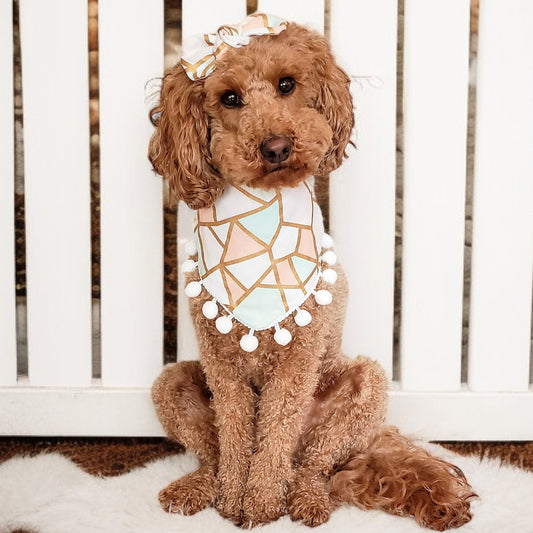 Small dog modeling Pup de Paris dog bandana with pom poms – handmade and elegant pet accessory