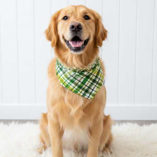 St. Patrick Plaid Dog Bandana