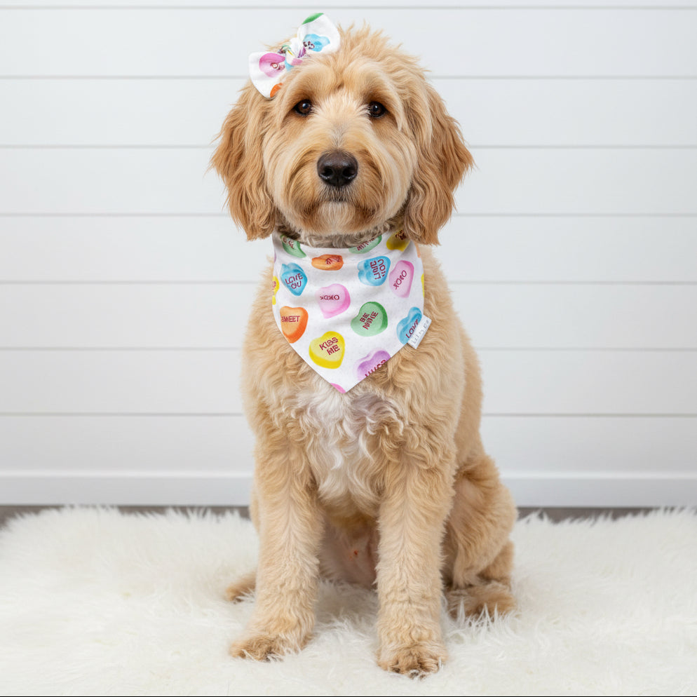Candy Hearts Valentine’s Dog Bandana
