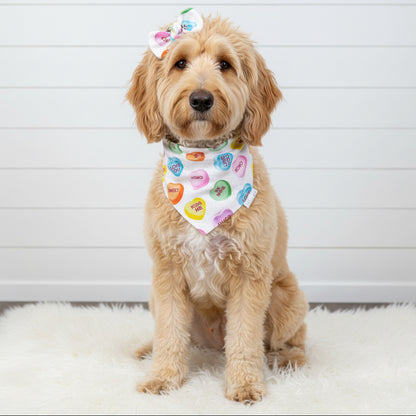 Candy Hearts Valentine’s Dog Bandana