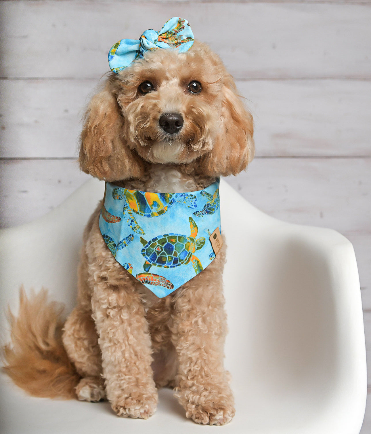 Sea Turtle Dog Bandana